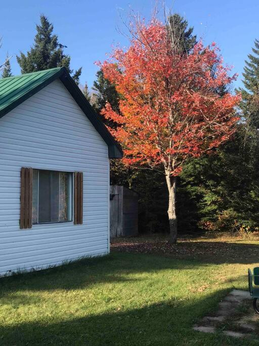Le Jazz- Chalet Rustique/Chic Avec Spa Notre-Dame-Des-Bois Exteriör bild