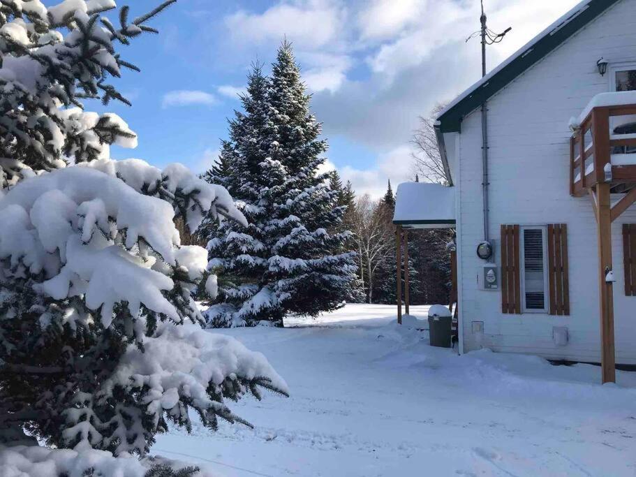 Le Jazz- Chalet Rustique/Chic Avec Spa Notre-Dame-Des-Bois Exteriör bild