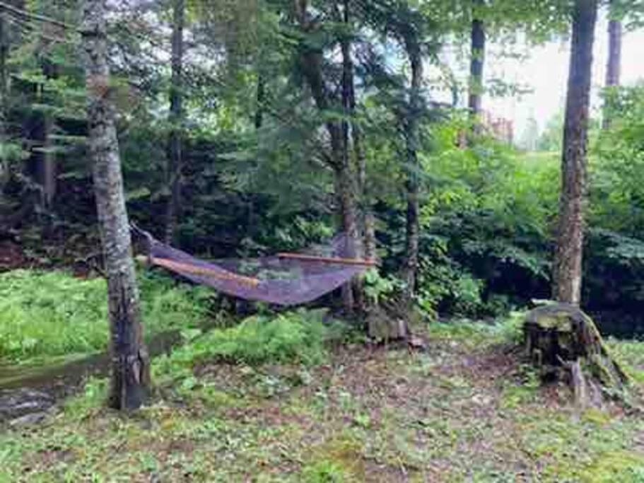 Le Jazz- Chalet Rustique/Chic Avec Spa Notre-Dame-Des-Bois Exteriör bild
